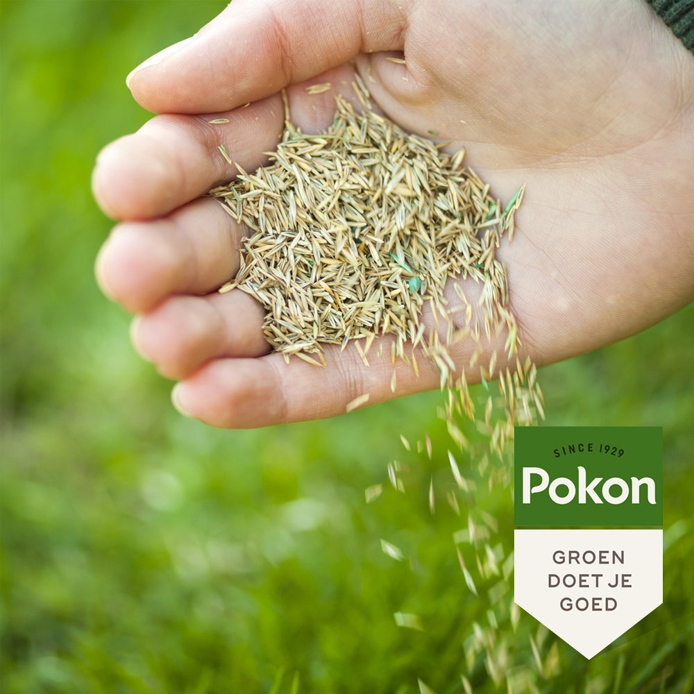 Pokon graszaad herstel sos 2 kg