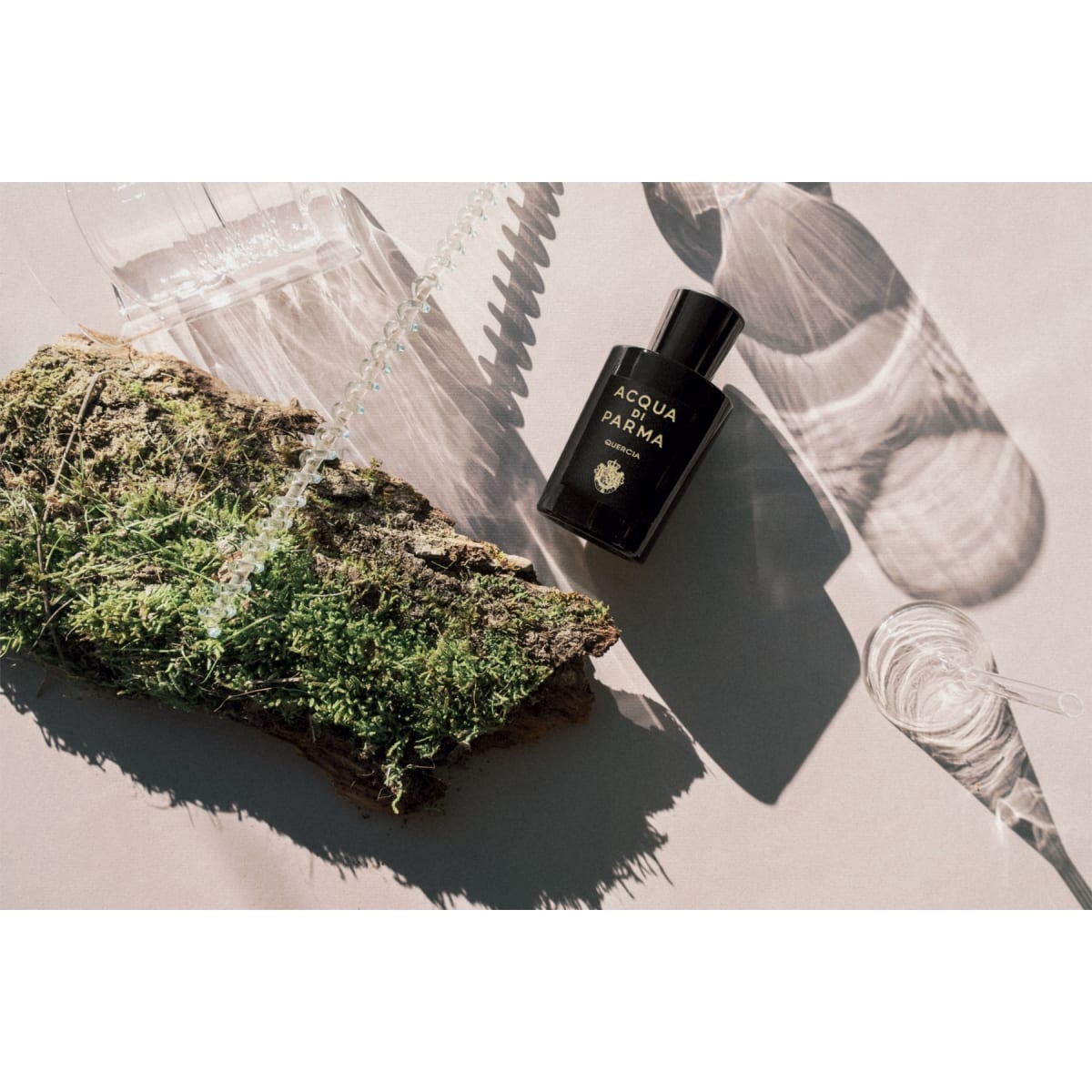 ACQUA DI PARMA Signature Quercia Eau de Parfum