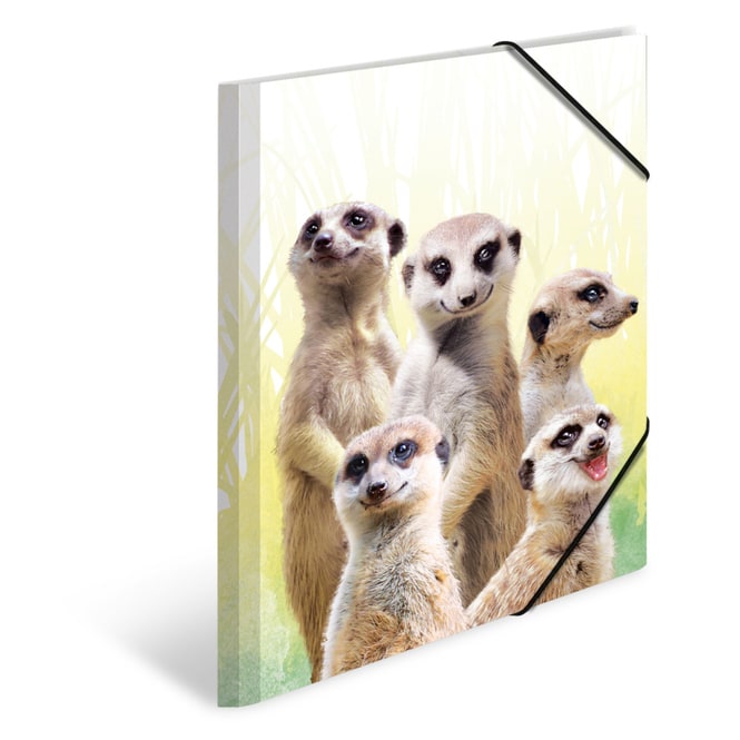 Sammelmappe DIN A3 - Erdmännchentruppe