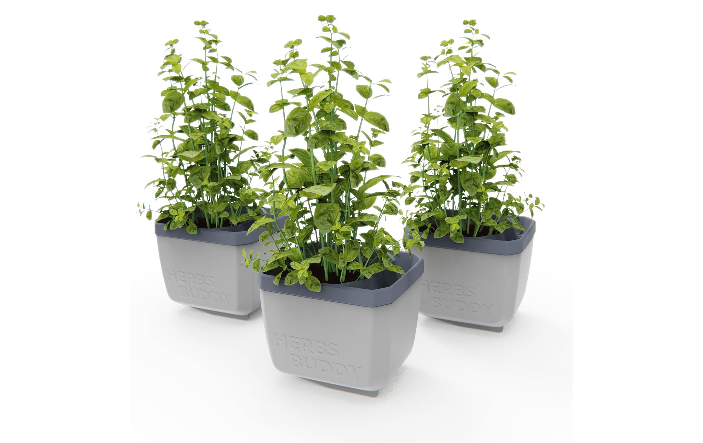 HERBS BUDDY Kräutertopf 3er Set GrauKräutertopf mit Wasserreservoir und Kippfunktion