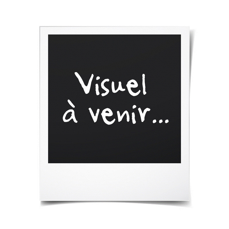 Poulailler paulette - 89x70x93cm - bois