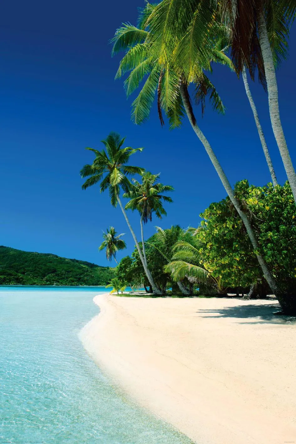 Poster Bounty Beach, 61 x 91 cm