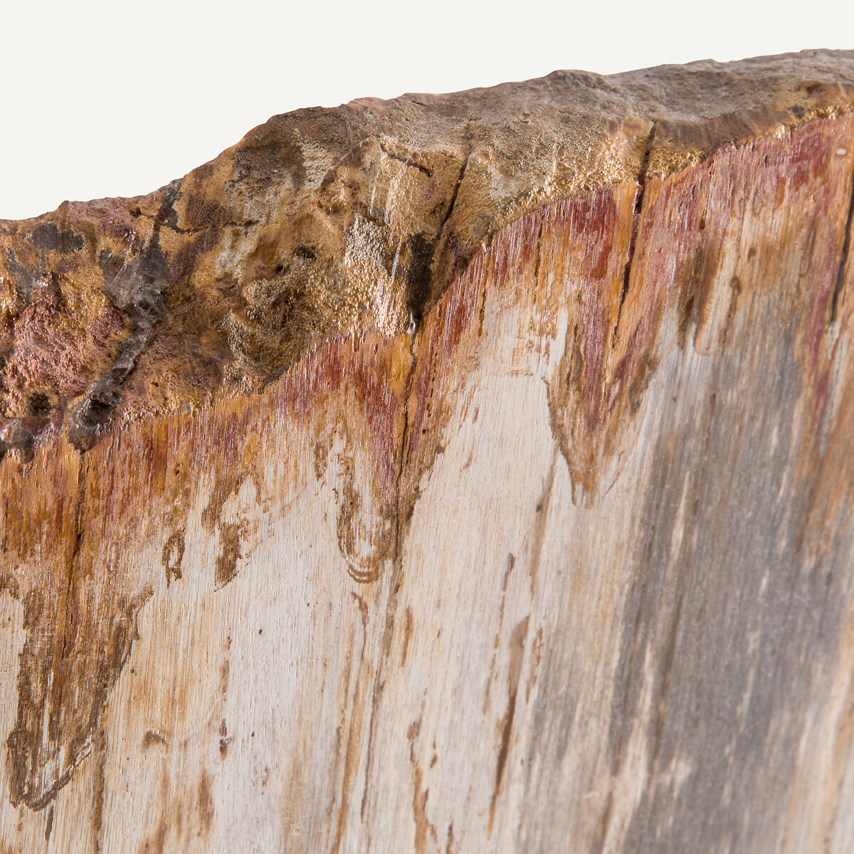 AM.PM<br>Decoração em madeira petrificada sobre um pedestal, Kayu