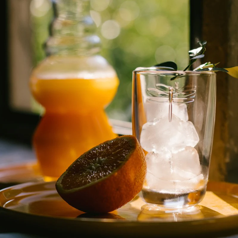 Lot de 6 long drinks, LIBELLULES La Rochère