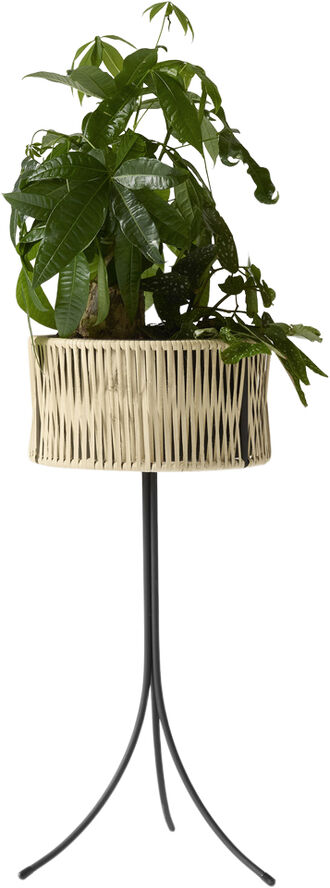 Audo Copenhagen Umanoff, Planter, H 69 Brun & sort