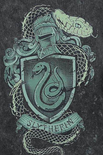 Emblème de Serpentard | Harry Potter Top