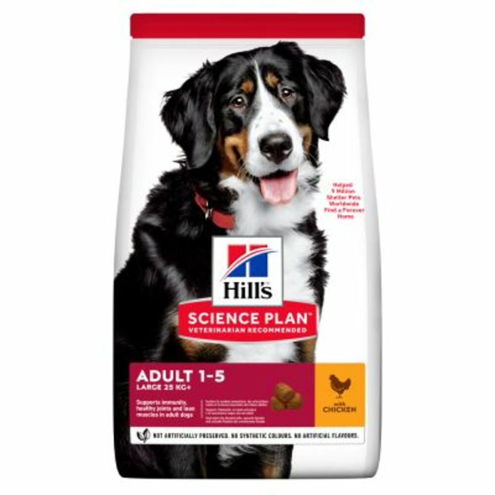 Hill's Science Plan Adult Large Kip12 kg