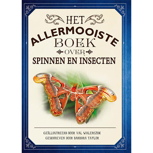 Uitgeverij gottmer het allermooiste boek over spinnen en insecten