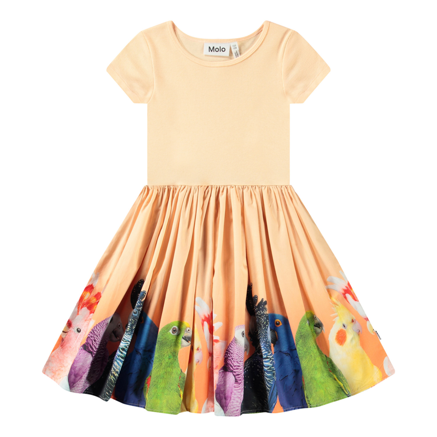 Cissa - Rainbow Parrots