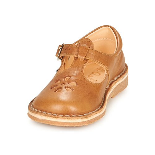 Aster - DINGO - Camel