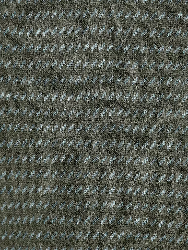 PATAGONIA Pullover dunkelgrün