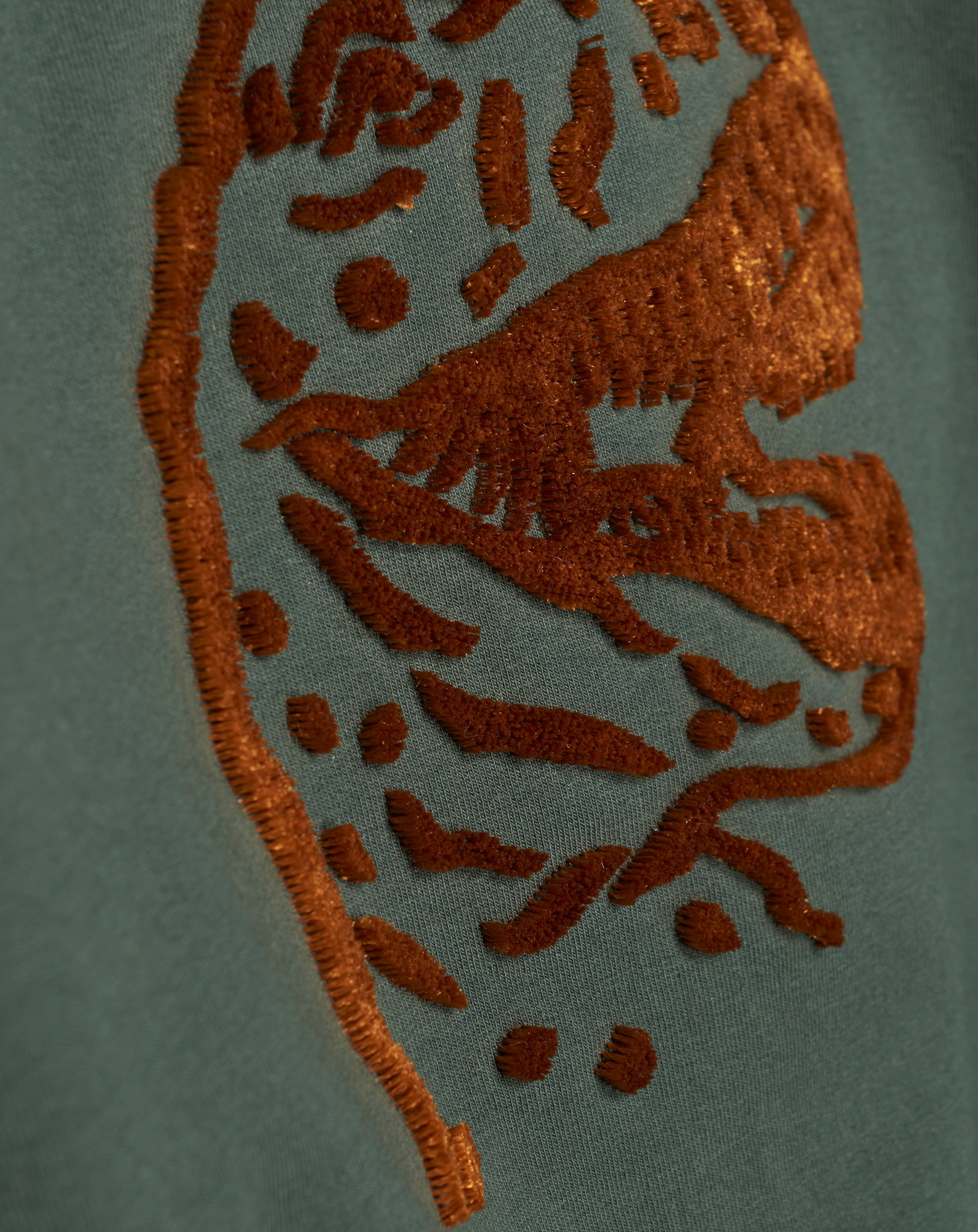 Kapuzensweatshirt T-REX in dunkelgrün