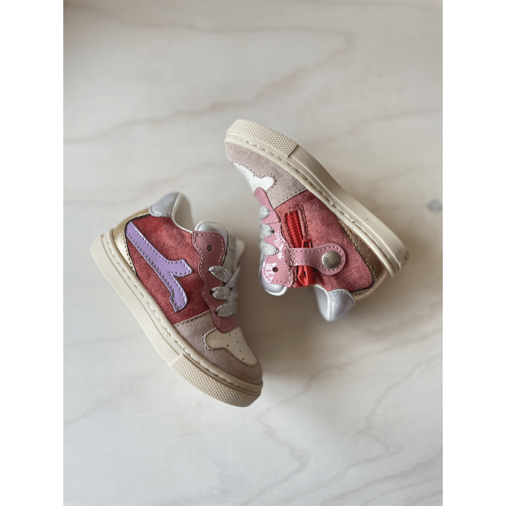 RONDINELLA - Sneaker Mini