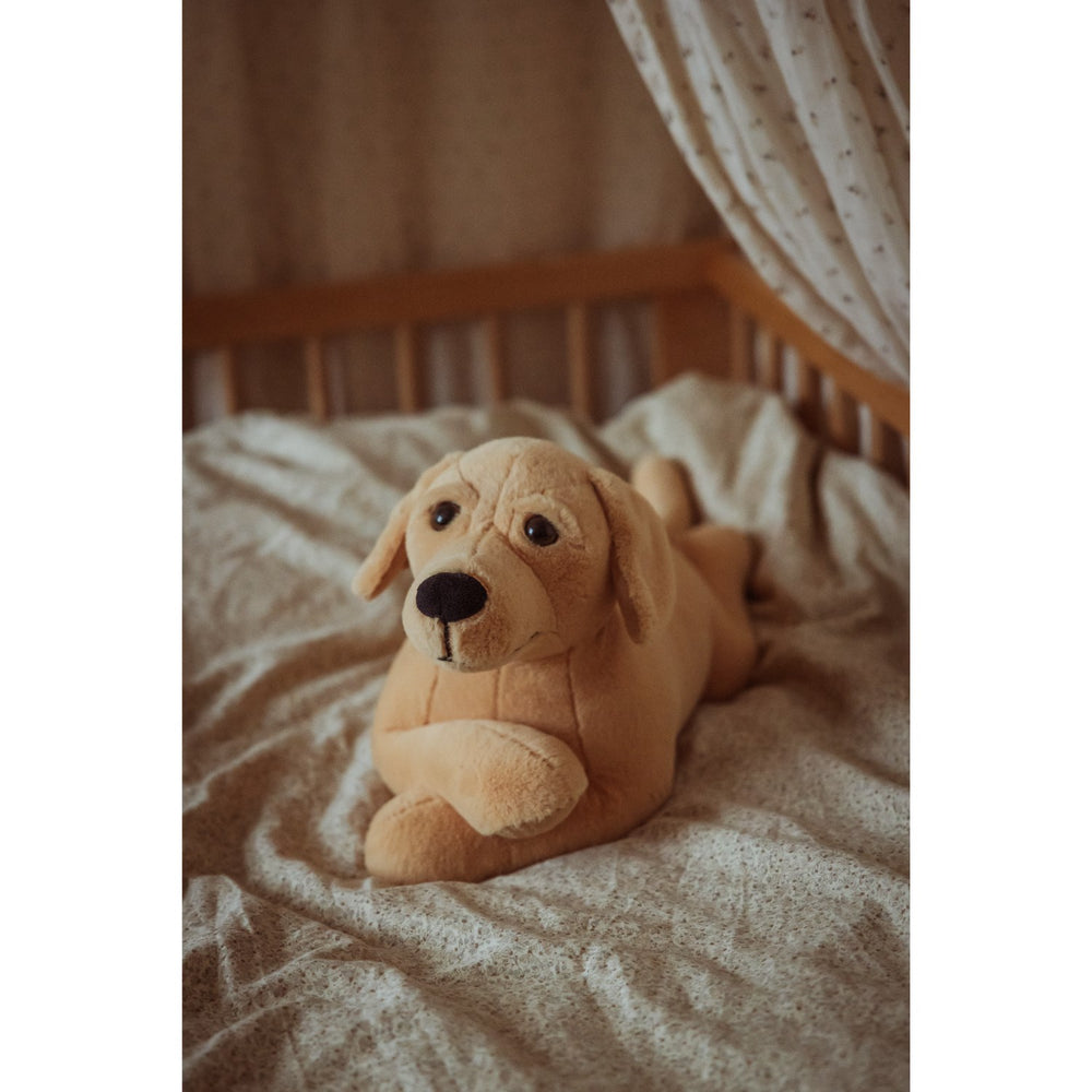 Køb by Astrup Tyngdedyr, Hund, 2,2 Kg.