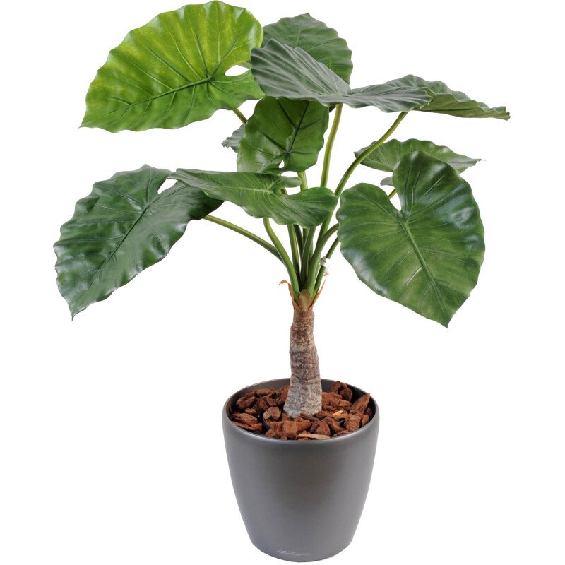 Plante artificielle d'intérieur Alocasia Calidora 80 cm