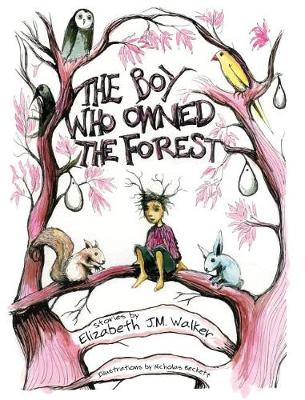 The Boy Who Owned the Forest (Hardback)