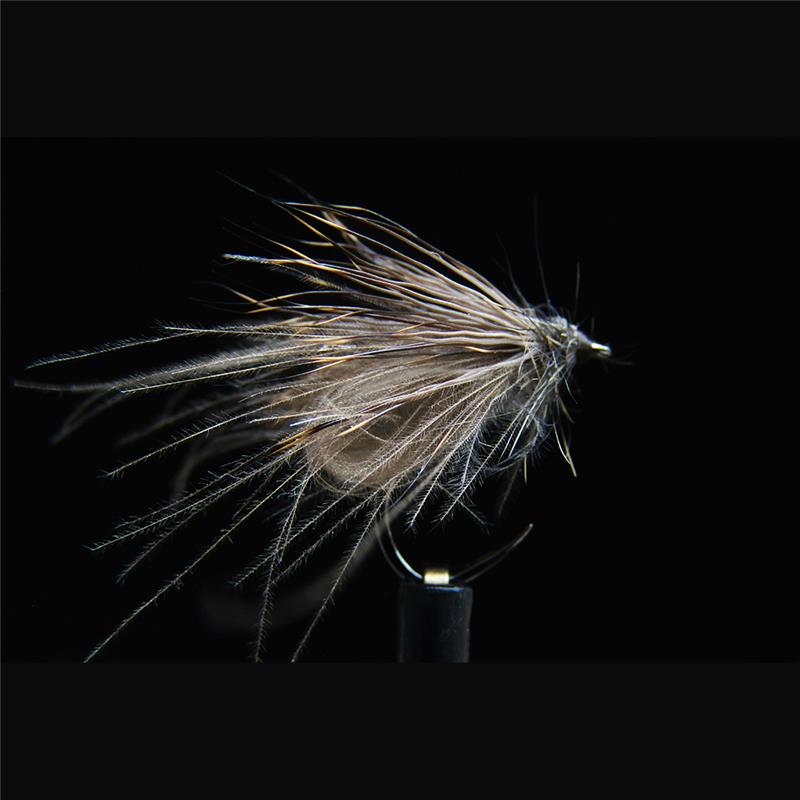 Mouche Jmc Emergentes Mrg 136 Bl