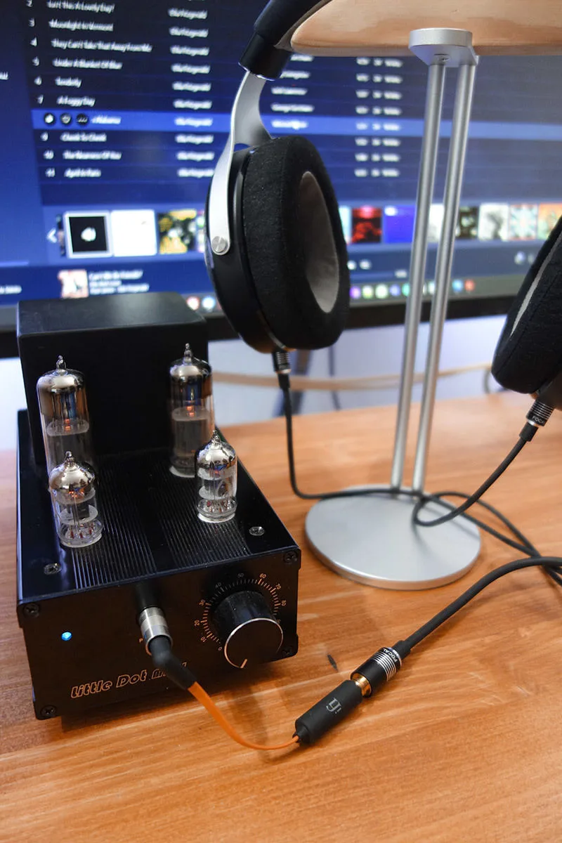 iFi Audio EarBuddy Adaptateurs audio