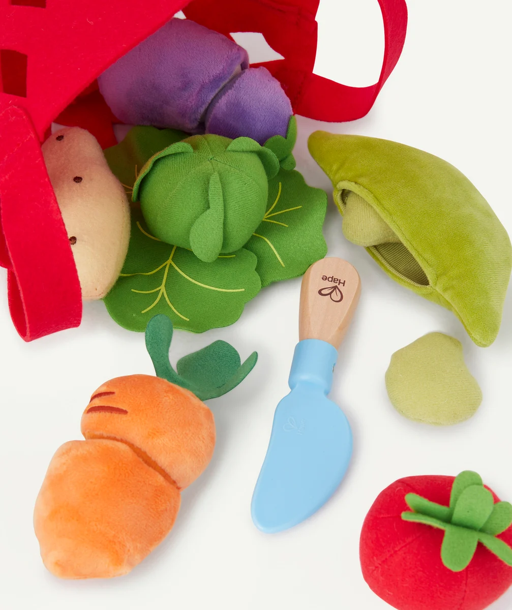 HAPEPANIER DE LÉGUMES EN FEUTRINE