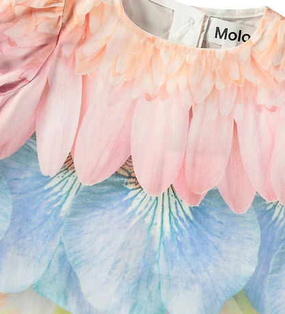 Molo Kleid - Kiste - Petal Rainbow