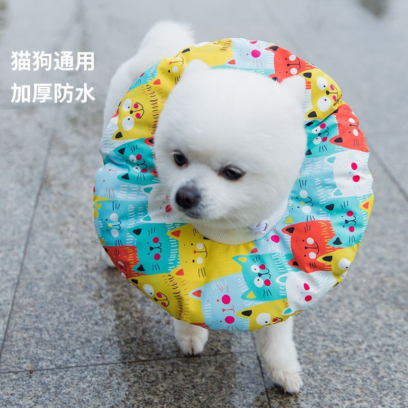Cissilli - Print Pet Recovery Collar
