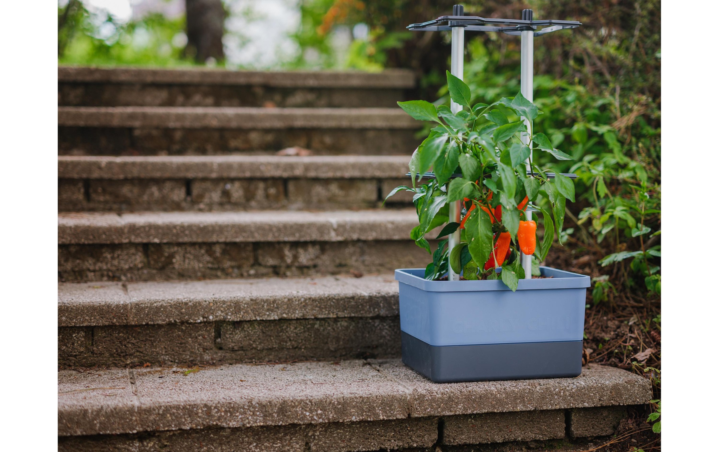 Gusta Garden Pflanzkübel »CHARLY CH«