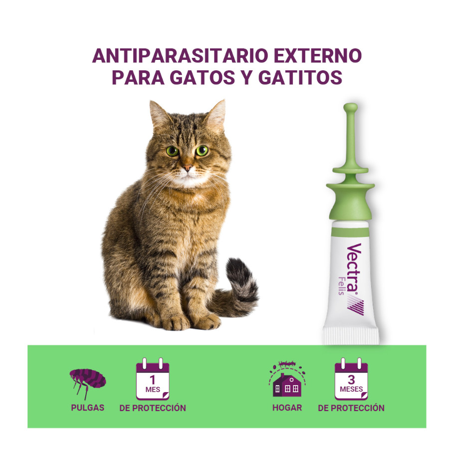 Vectra Felis Pipetas Antiparasitarias para gatos - Pack 3