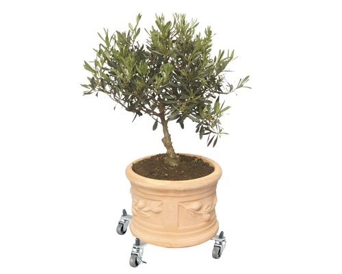 Wagner SunCity Basic plantenwagen, staal, 31x31/47x47 cm, draagvermogen 100 kg