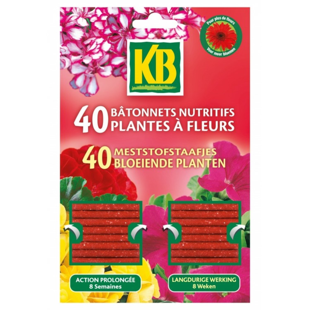 Bâtonnet nutritif - plante à fleurs - lot de 40