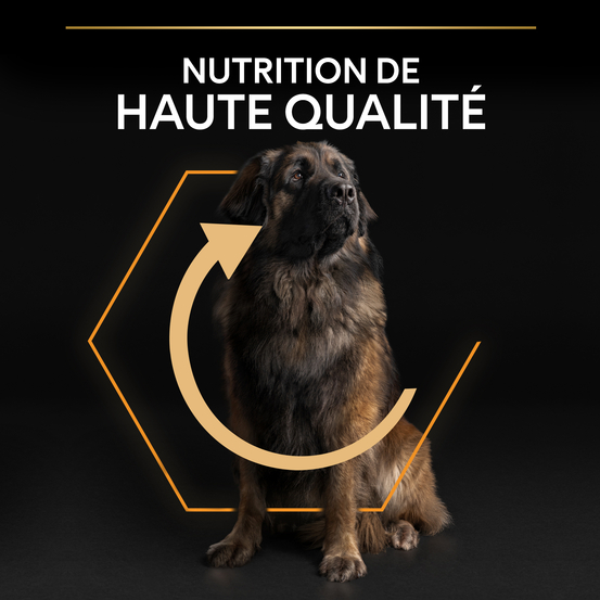 Croquettes chien adulte Super Premium - 14 kg + 2,5 kg offerts