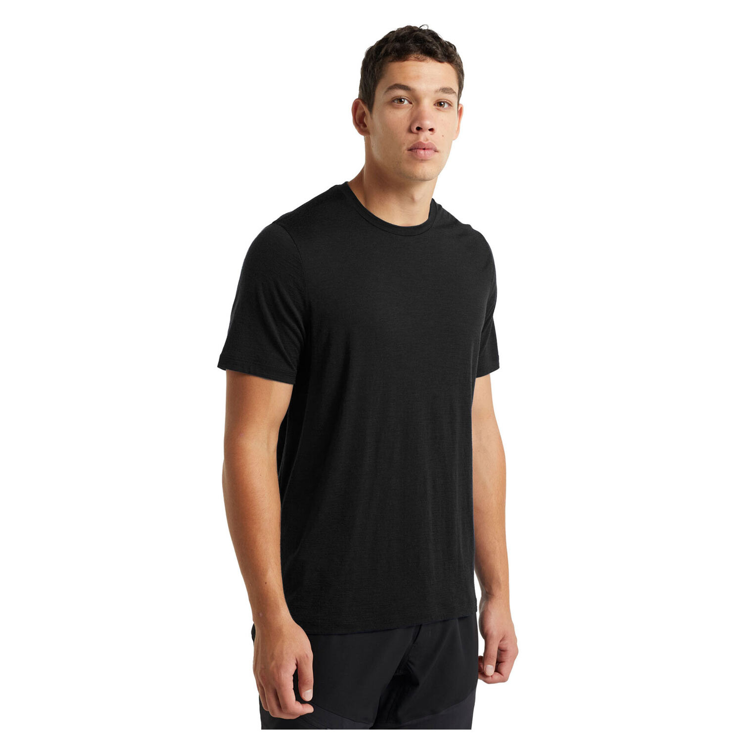 Icebreaker Mens Tech Lite II S/S Tee 2021 model