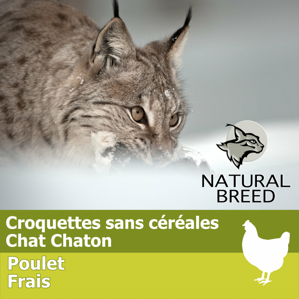 Supreme diet cat & kitten - chat chaton, poulet frais sans céréales 400g