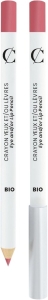 Couleur Caramel Lipliner