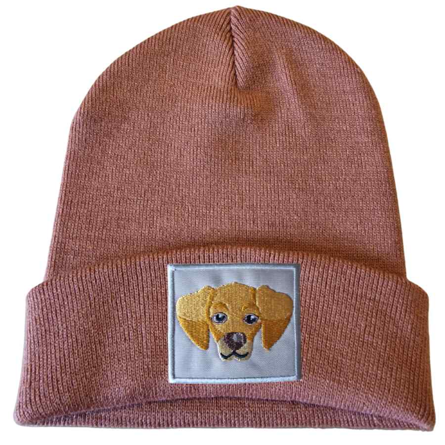 CHAPÉU PARA CÃES GOLDEN RETRIEVER