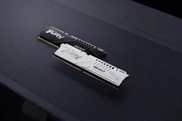 Kingston FURY Beast - DDR5 - sæt - 64 GB: 2 x 32 GB - DIMM 288-PIN - 5200 MHz / PC5-41600 - CL38 - 1.25 V - ikke bufferet - on-die ECC