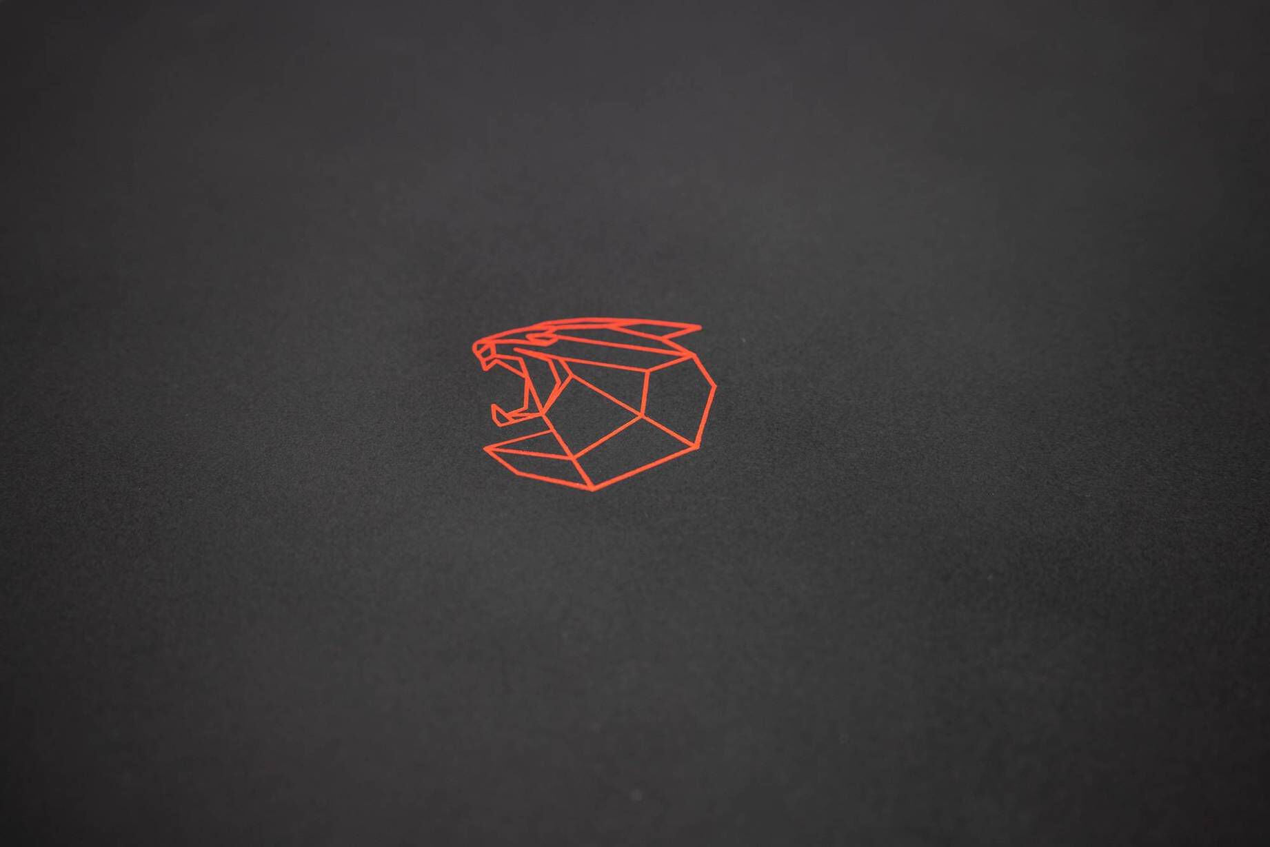 Nitro| Snowboard PANTERA WIDE 2022/23