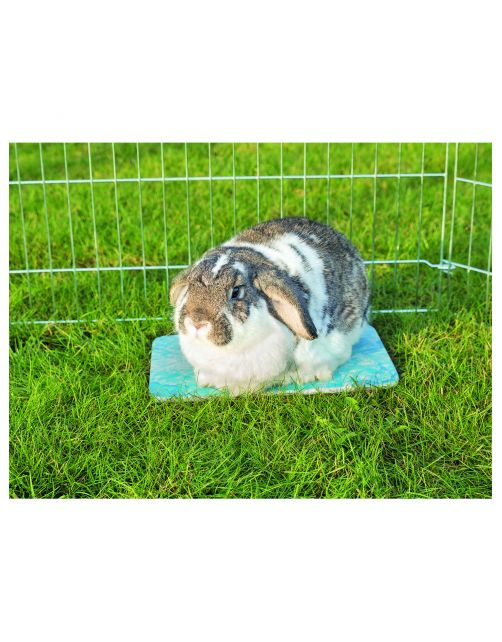 Trixie Koelschijf Voor Kleine Dieren - Kooi Accessoire - 28x20 cm Blauw