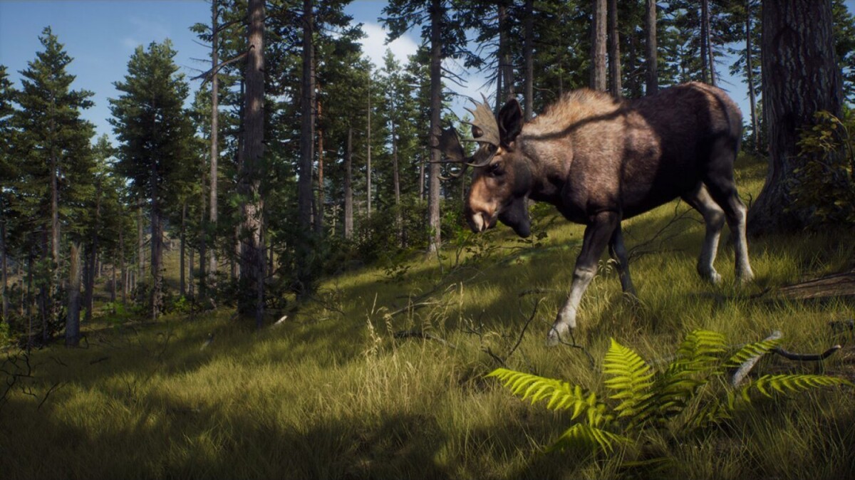 Way Of The Hunter - Xbox Series X
