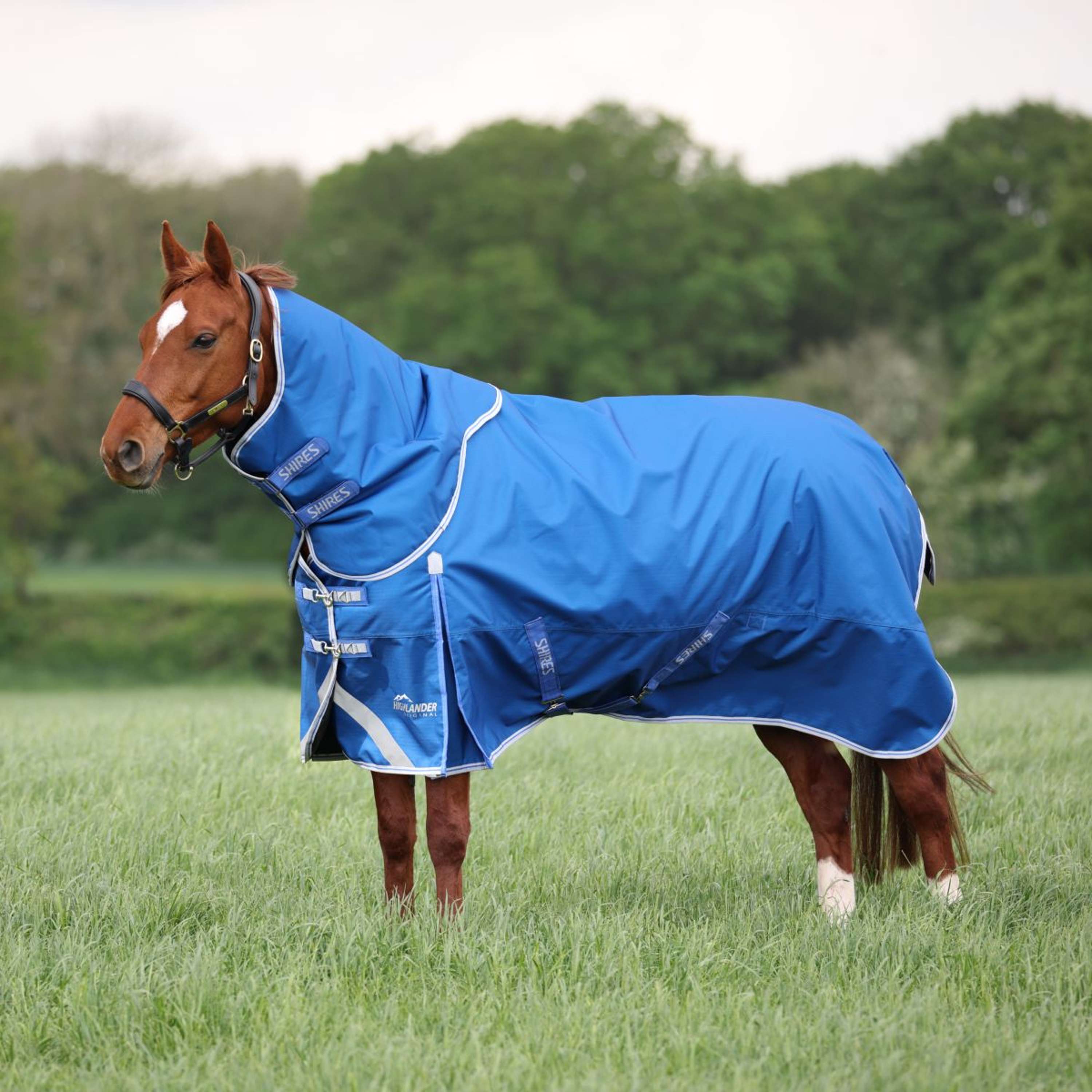 Highlander Original Winterdeken Turnout 200g met Halsstuk Blauw