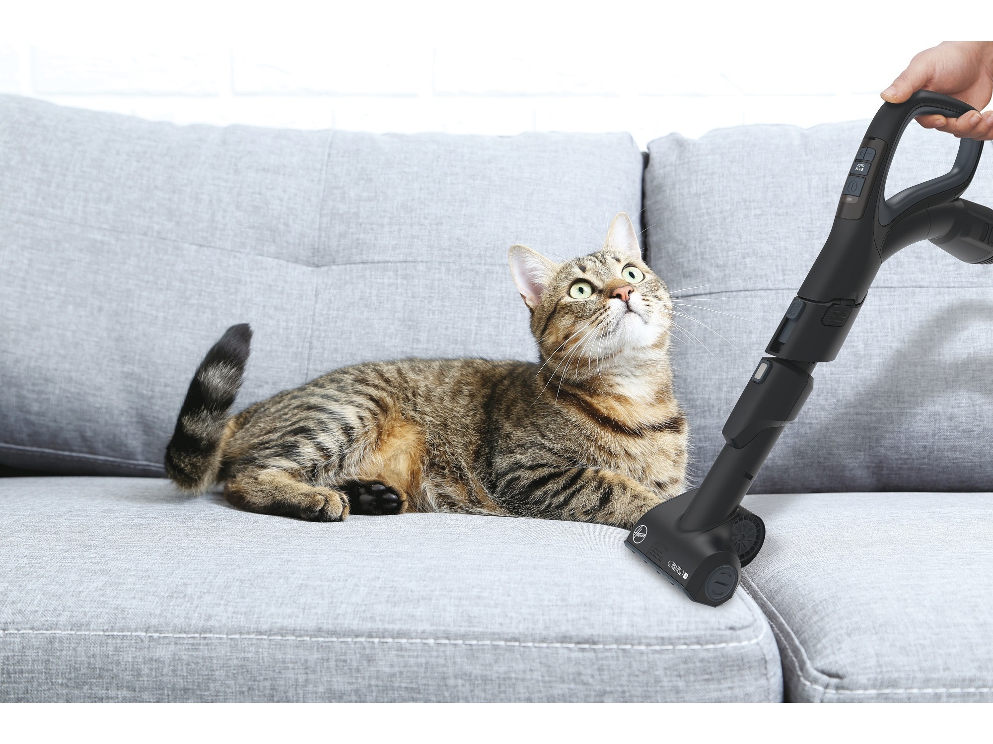 ASPIRADOR COM SACO HOOVER HE730ALG 011 850W