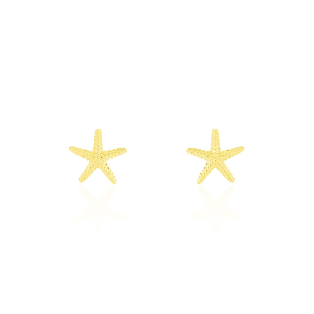Boucles D'oreilles Or Jaune Aenor Puces