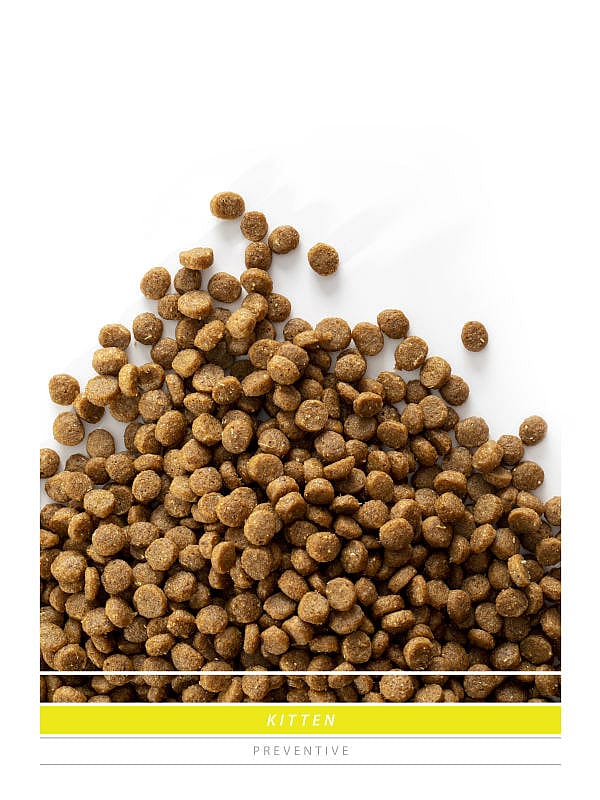 Sanimed Kitten 4.5 kg