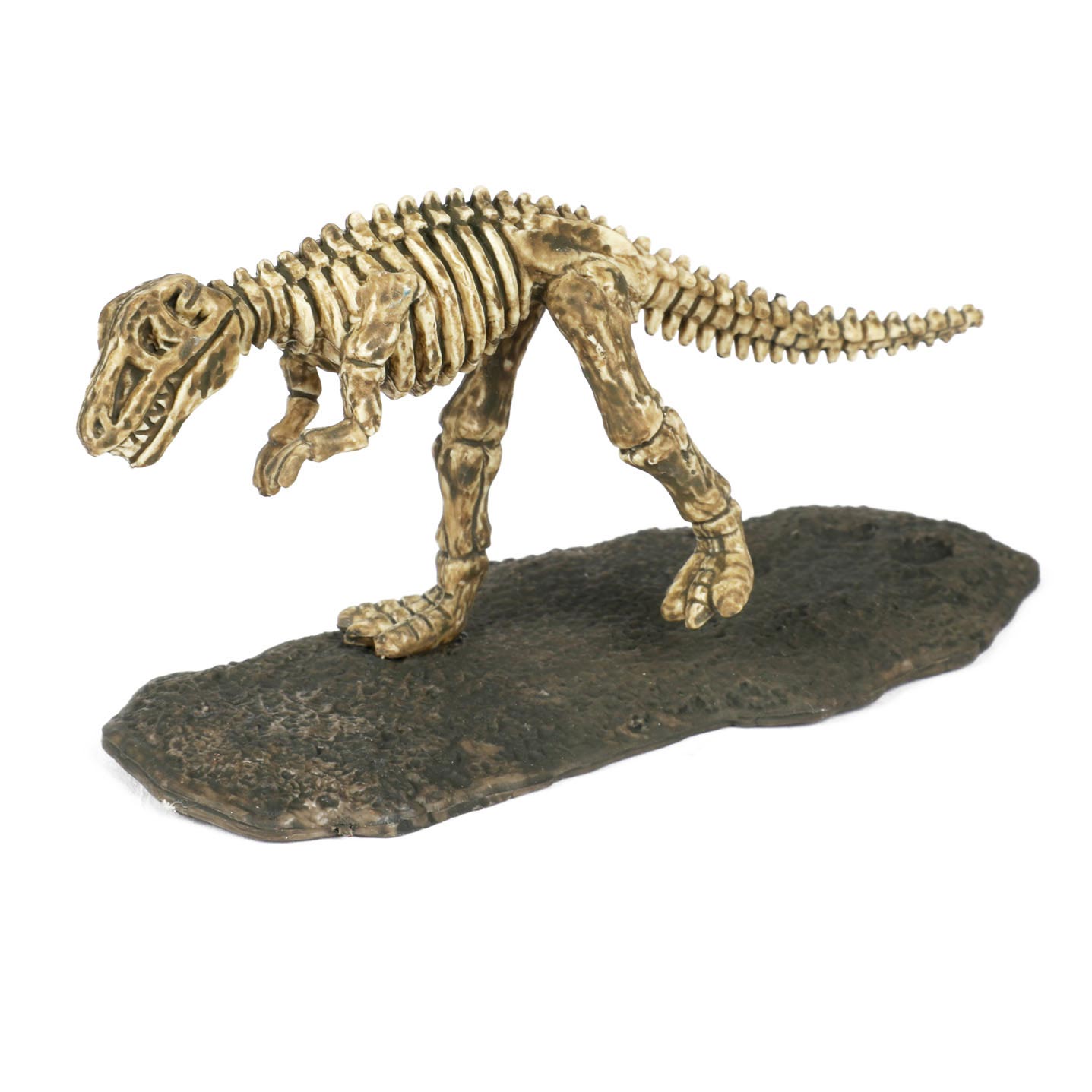 Dinosaurusfossiel Verzamelfiguur