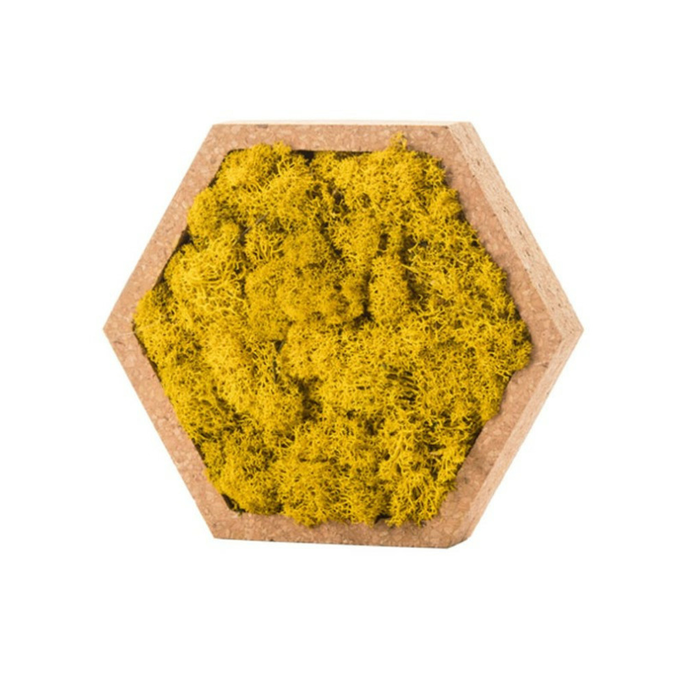 Stab lichen hexagonal jaune 16 x 16 cm