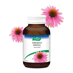 A.Vogel Echinaforce Tabletten 350TB