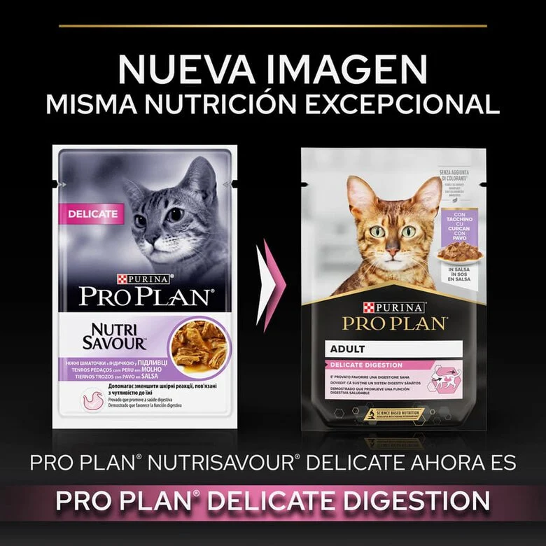 Pro Plan Delicate Digestion com Peru ao Molho para Gatos