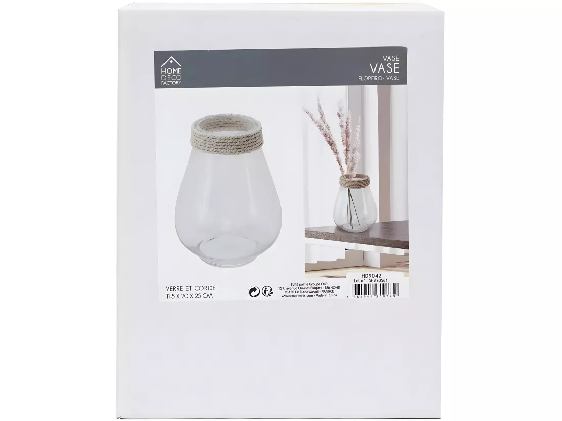 Vase Design en Verre 