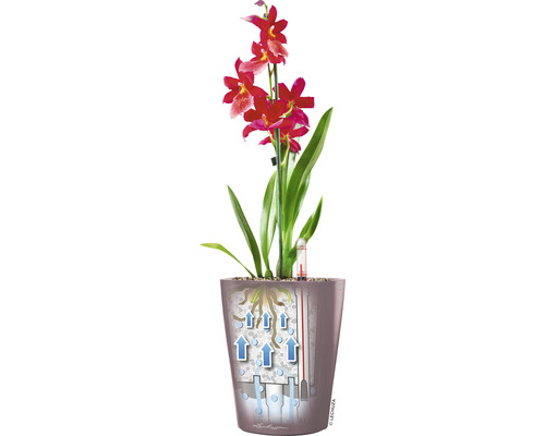 Lechuza Deltini kunststof bloempot, Ø 14 cm, H 18 cm, wit, inclusief zelfbewateringssysteem en waterniveau-indicator