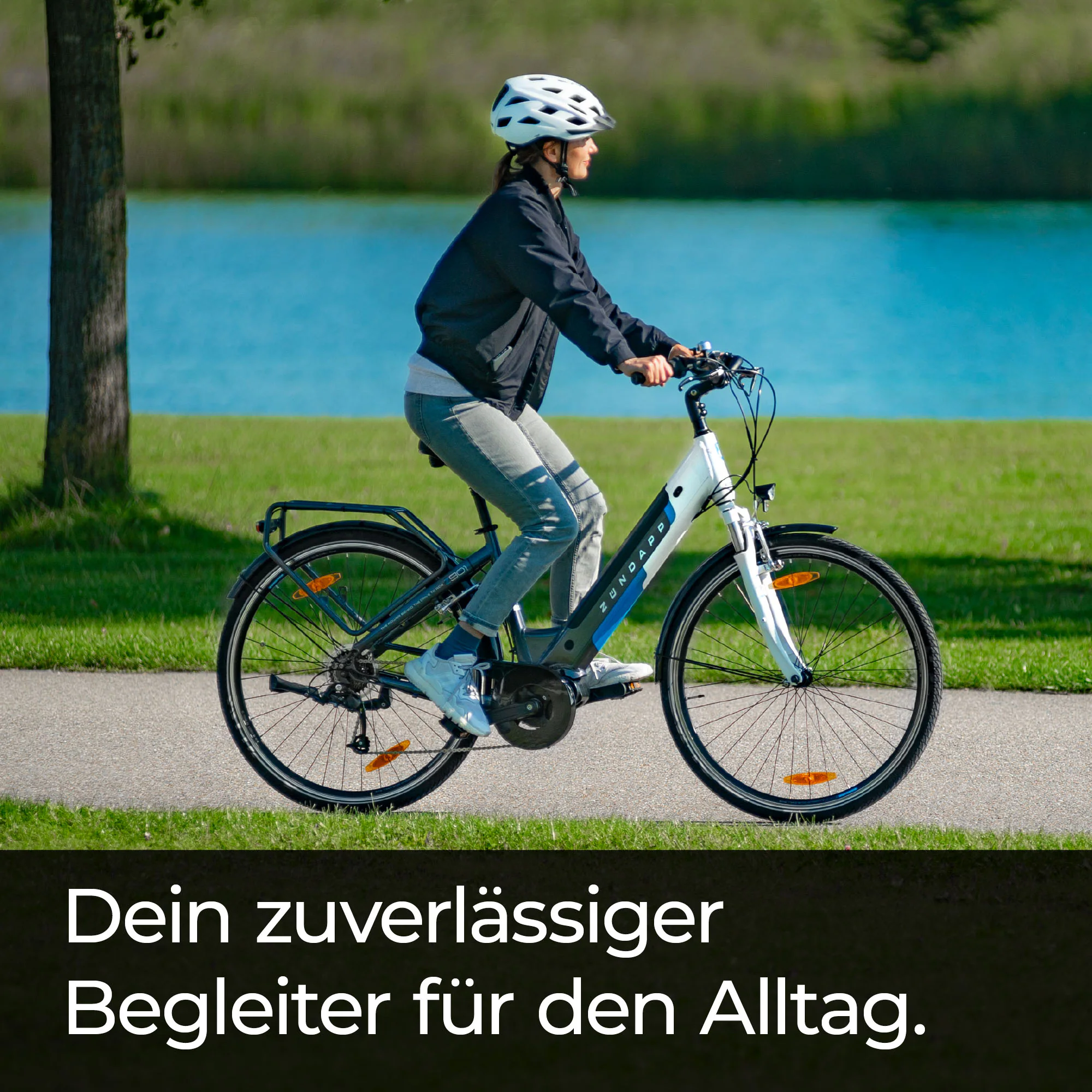 Zündapp Z905 E-Bike Citybike 28 Zoll Pedelec Bosch Damenfahrrad Tiefeinsteiger