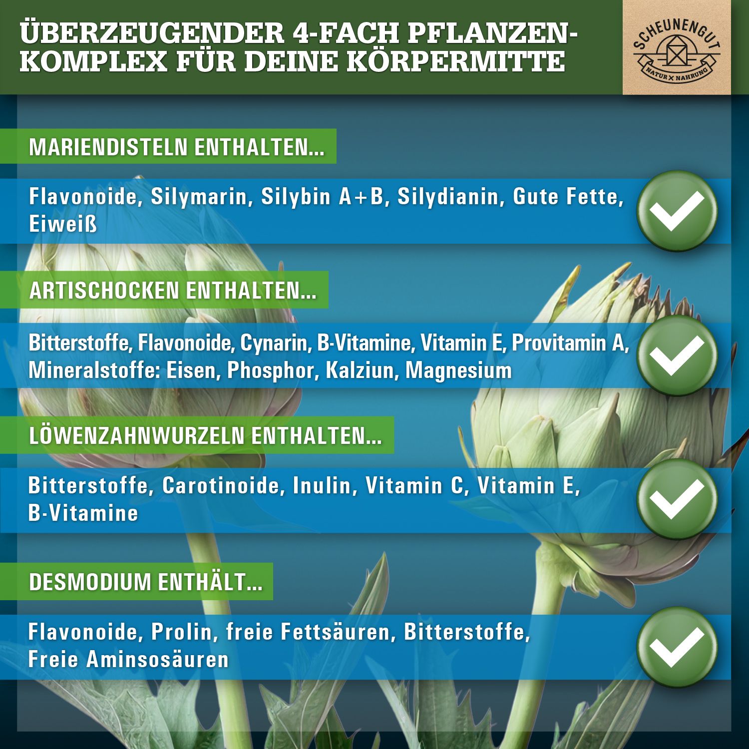 Scheunengut® LEBER INTENSO | Hochdosierte Leber Kapseln 100% natürlich